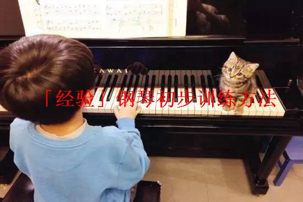 「经验」钢琴初步训练方法