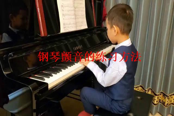 钢琴颤音的练习方法