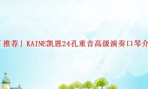 「推荐」KAINE凯恩24孔重音高级演奏口琴介绍