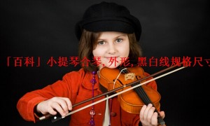 「百科」小提琴合琴,外形,黑白线规格尺寸