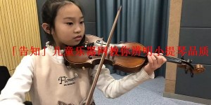 「告知」儿童乐器网教你辨明小提琴品质