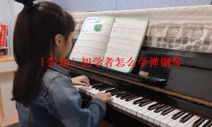 「告知」初学者怎么学弹钢琴