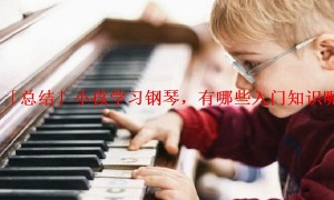 「总结」小孩学习钢琴，有哪些入门知识呢