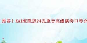 「推荐」KAINE凯恩24孔重音高级演奏口琴介绍