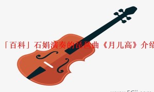 「百科」石娟演奏的琵琶曲《月儿高》介绍