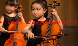 「详解」少儿大提琴学习培训班的选择该从哪几个方面进行考虑