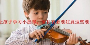 让孩子学习小提琴，家长有必要注意这些要点