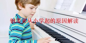 钢琴要从小学起的原因解读