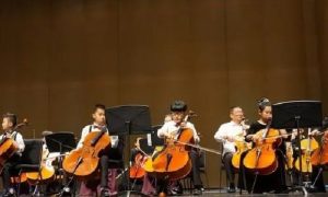 给孩子选择大提琴培训，需要了解些什么呢?
